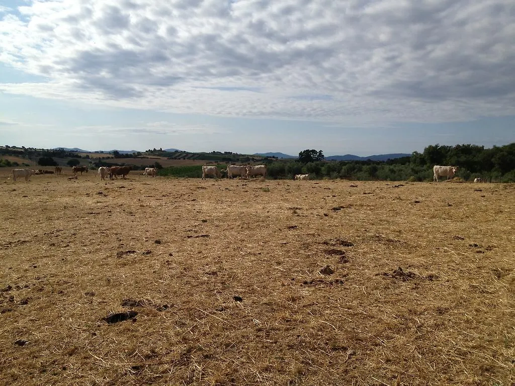 Farm stay I Puntoni Agriturismo Magliano in Toscana Italy