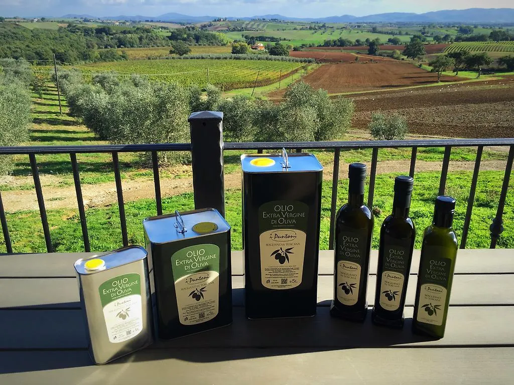 I Puntoni Agriturismo Magliano in Toscana 0*,