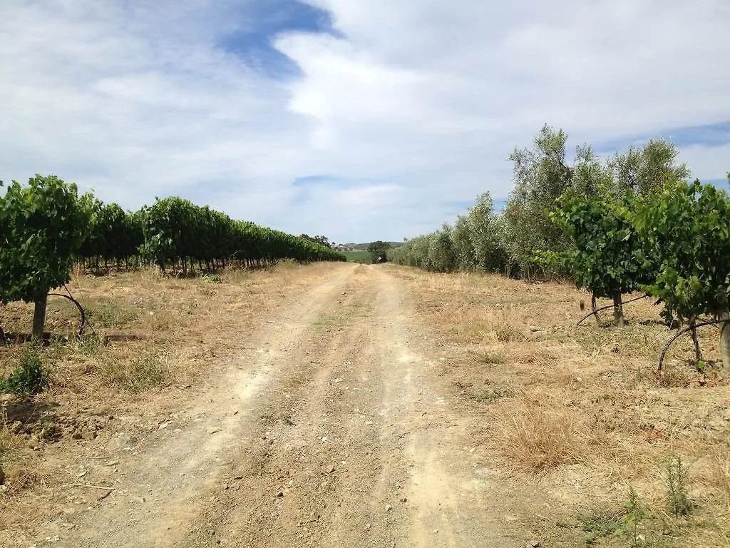 Alloggio per agriturismo I Puntoni Agriturismo Magliano in Toscana